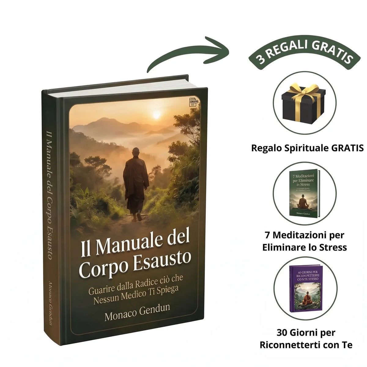 Il Manuale del Corpo Esausto: Guarire dalla Radice ciò che Nessun Medico Ti Spiega